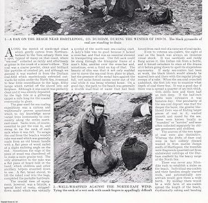 Seller image for Sea-Coaling in the North East of England. Several pictures and accompanying text, removed from an original issue of Country Life Magazine, 1974. for sale by Cosmo Books