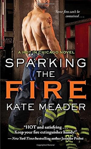 Bild des Verkufers fr Sparking the Fire: 3 (Hot in Chicago) zum Verkauf von WeBuyBooks