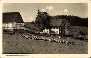 Bild des Verkufers fr Ansichtskarte / Postkarte Oepfershausen Wasungen im Thringer Wald, Berggasthof Amnenhof zum Verkauf von akpool GmbH