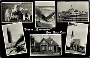 Immagine del venditore per Ansichtskarte / Postkarte Den Burg Texel Nordholland Niederlande, Schaafe, Dne, Schiff, Kirche, Leuchtturm, Haus venduto da akpool GmbH