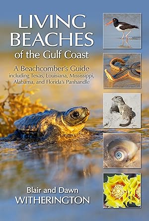 Bild des Verkufers fr Living Beaches of the Gulf Coast: A Beachcombers Guide Including Texas, Louisiana, Mississippi, Alabama and Florida\ s Panhandle zum Verkauf von moluna