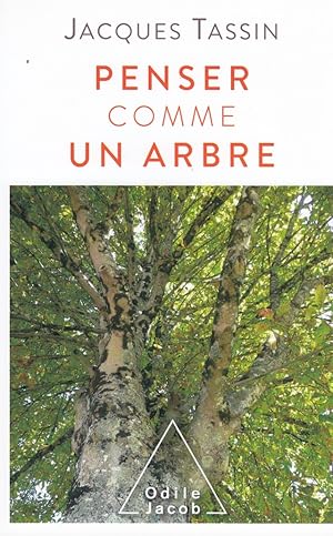 Penser comme un arbre