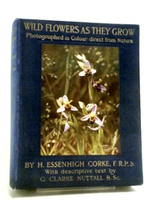 Seller image for Wild Flowers As They Grow for sale by World of Rare Books