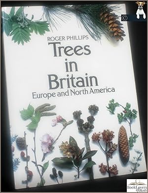 Bild des Verkufers fr Trees in Britain, Europe and North America zum Verkauf von BookLovers of Bath