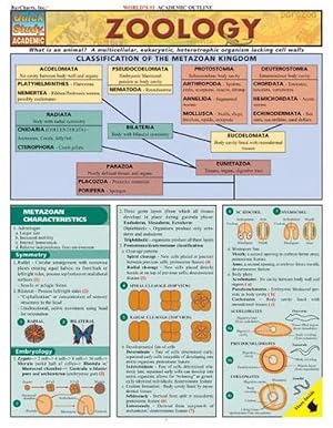 Seller image for Zoology for sale by CitiRetail