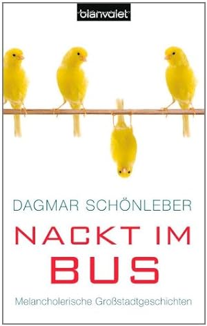 Seller image for Nackt im Bus melancholerische Grostadtgeschichten for sale by Antiquariat Buchhandel Daniel Viertel