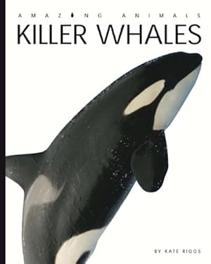 Imagen del vendedor de Amazing Animals: Killer Whales by Riggs, Kate [Paperback ] a la venta por booksXpress