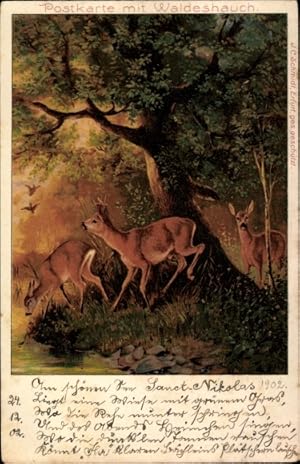 Litho Rehe im Wald, Postkarte mit Waldeshauch