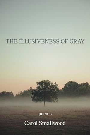 Bild des Verkufers fr The Illusiveness of Gray zum Verkauf von moluna