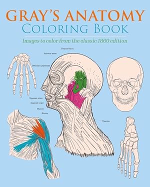 Seller image for Gray's Anatomy Coloring Book for sale by GreatBookPricesUK