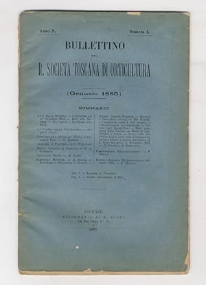 BOLLETTINO della R. Società Toscana di Orticoltura. Anno X. 1885. fascicoli 1-12. [Annata completa].
