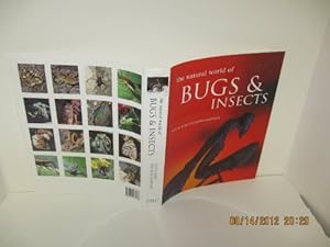 Image du vendeur pour Natural World of Bugs & Insects mis en vente par WeBuyBooks