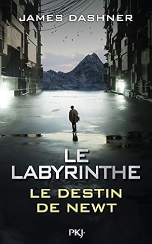 Bild des Verkufers fr Le labyrinthe - le destin de Newt zum Verkauf von Dmons et Merveilles