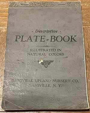 Descriptive Plate Book, Illustrated in Natural Colors [Catalogue]