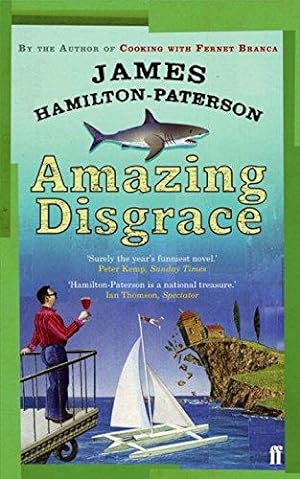 Seller image for Amazing Disgrace for sale by WeBuyBooks