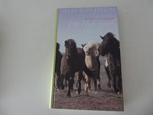 Bild des Verkufers fr Hufspuren 2 - 136 Hufe zu viel. Hardcover zum Verkauf von Deichkieker Bcherkiste