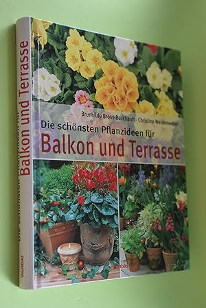 Die schönsten Pflanzideen für Balkon und Terrasse : beliebte Balkon- und Kübelpflanzen neu arrang...