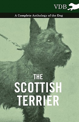 Seller image for The Scottish Terrier - A Complete Anthology of the Dog (Paperback or Softback) for sale by BargainBookStores