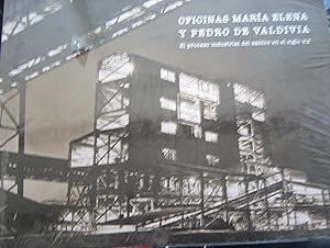 Oficinas María Elena y Pedro de Valdivia : el proceso industrial del salitre en el siglo XX
