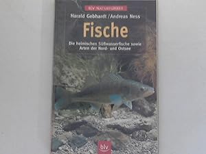 Bild des Verkufers fr Fische : die heimischen Ssswasserfische sowie Arten der Nord- und Ostsee. Harald Gebhardt/Andreas Ness. [Grafiken: Barbara von Damnitz] / BLV-Naturfhrer zum Verkauf von ANTIQUARIAT FRDEBUCH Inh.Michael Simon