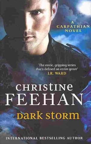 Imagen del vendedor de Dark Storm : Number 23 in Series a la venta por GreatBookPricesUK