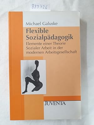 Galuske, Flexible Sozialpädagogik: Elemente einer Theorie Sozialer Arbeit in der modernen Arbeits...