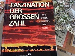 Seller image for Faszination der groen Zahl : for sale by Ammareal
