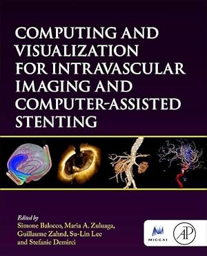 Bild des Verkufers fr Computing and Visualization for Intravascular Imaging and Computer Assisted Stenting zum Verkauf von moluna