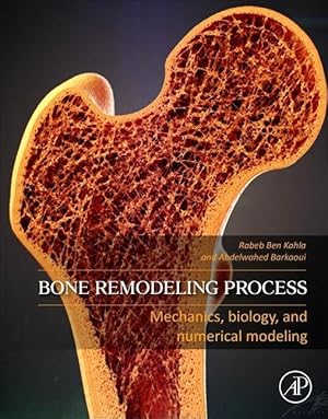 Image du vendeur pour Bone Remodelling Process: From Biology to Mechanobiological Modelling mis en vente par moluna