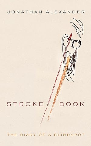 Bild des Verkufers fr Stroke Book: The Diary of a Blindspot zum Verkauf von moluna