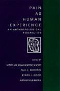 Seller image for Pain as Human Experience for sale by moluna