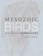 Bild des Verkufers fr Mesozoic Birds zum Verkauf von moluna