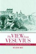 Immagine del venditore per Moe, N: View from Vesuvius - Italian Culture and the Souther venduto da moluna