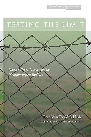 Bild des Verkufers fr Testing the Limit: Derrida, Henry, Levinas, and the Phenomenological Tradition zum Verkauf von moluna