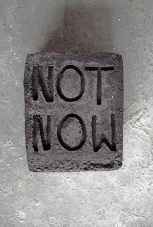 Seller image for Esther Klas - Not Now for sale by moluna