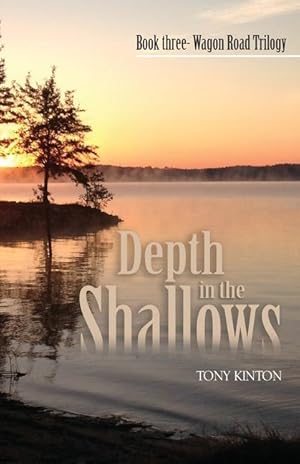 Seller image for Depth in the Shallows for sale by moluna