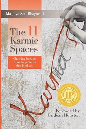 Bild des Verkufers fr The 11 Karmic Spaces: Choosing Freedom from the Patterns that Bind You zum Verkauf von moluna