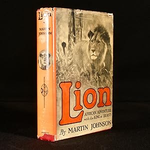 Lion, African Adventure with the King of Beasts