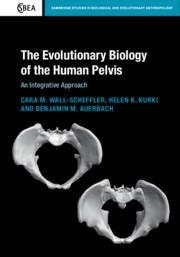 Seller image for The Evolutionary Biology of the Human Pelvis: An Integrative Approach for sale by moluna