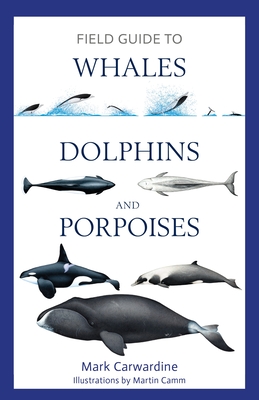 Bild des Verkufers fr Field Guide to Whales, Dolphins and Porpoises (Paperback or Softback) zum Verkauf von BargainBookStores