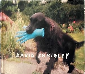 Seller image for David Shrigley for sale by Reilly Books