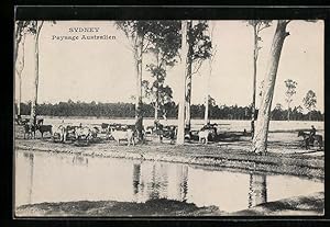 Bild des Verkufers fr Ansichtskarte Sydney, Paysage Australien zum Verkauf von Bartko-Reher