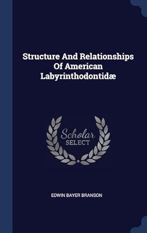 Seller image for Structure And Relationships Of American Labyrinthodontid for sale by moluna