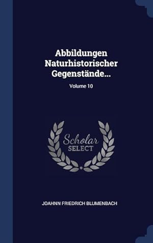 Bild des Verkufers fr Geological Survey Of The Oil Lands Of Japan: A Report Of Progress For The First Year Of The Oil Surveys zum Verkauf von moluna