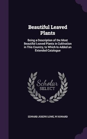 Imagen del vendedor de Beautiful Leaved Plants: Being a Description of the Most Beautiful Leaved Plants in Cultivation in This Country, to Which Is Added an Extended a la venta por moluna