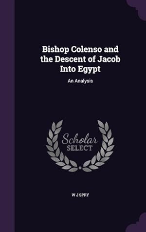 Bild des Verkufers fr Bishop Colenso and the Descent of Jacob Into Egypt: An Analysis zum Verkauf von moluna