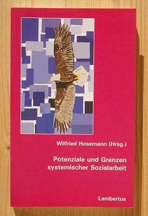 Bild des Verkufers fr Potenziale und Grenzen systemischer Sozialarbeit zum Verkauf von Versandantiquariat Manuel Weiner