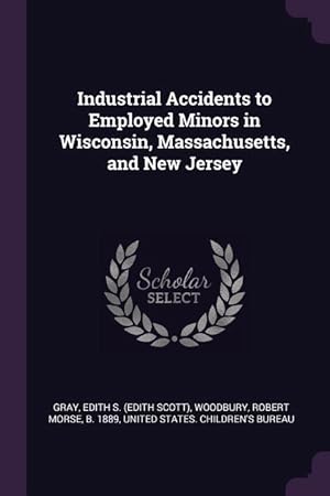 Seller image for INDUSTRIAL ACCIDENTS TO EMPLOY for sale by moluna