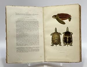 Bild des Verkufers fr Histoire naturelle des quadrupdes ovipares et des serpents. zum Verkauf von Librairie L'Abac / Gimmic SRL