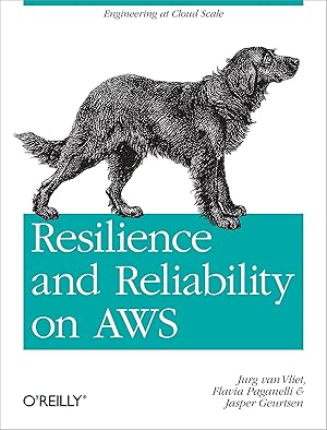 Bild des Verkufers fr Resilience and Reliability on AWS zum Verkauf von moluna